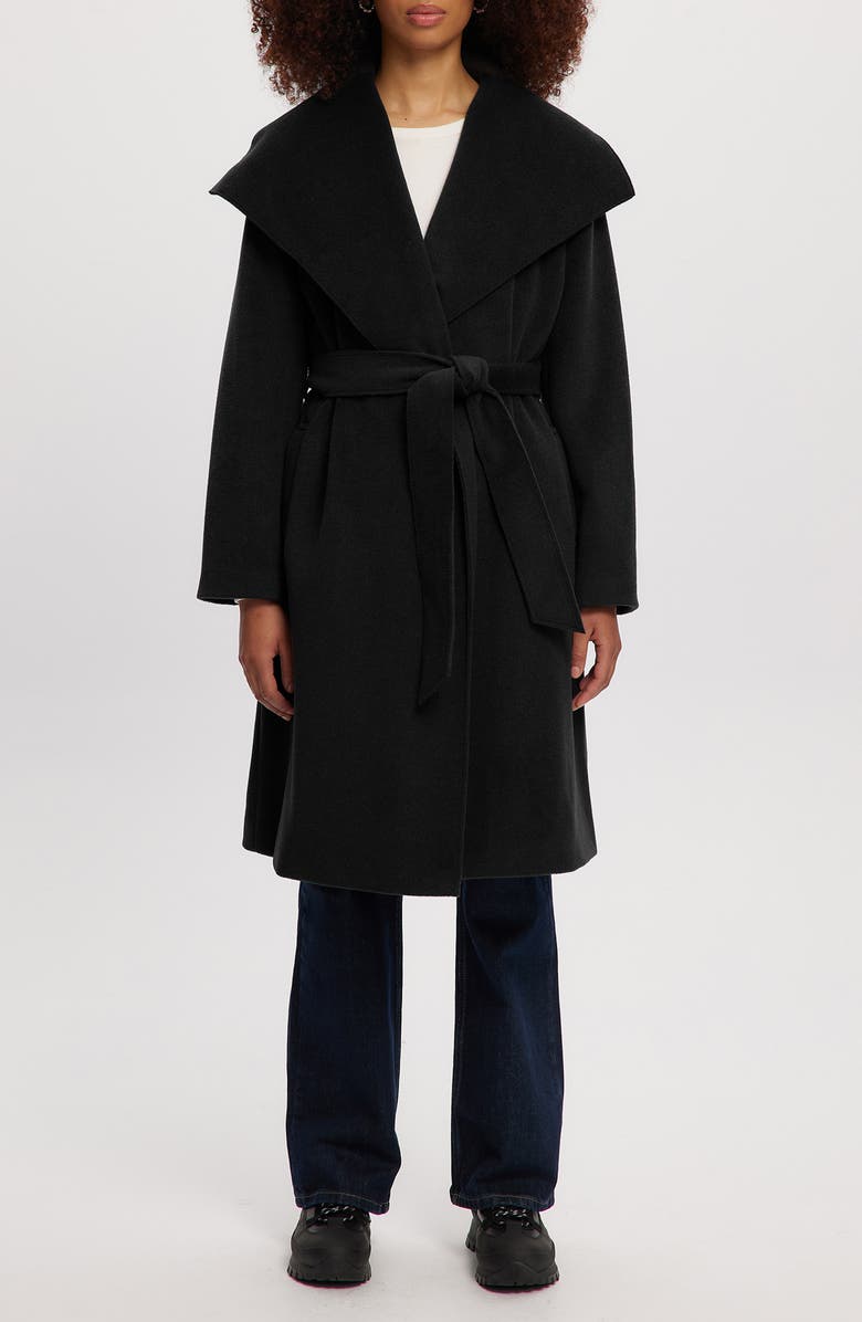 Noize Lena Belted Wrap Coat, Main, color, Black