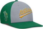 Nike Men's Nike Gray/Green Athletics Pro Performance Snapback Hat