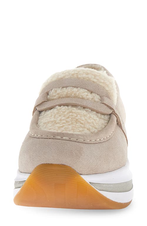 Voile Blanche Merry Genuine Shearling Loafer In Neutral