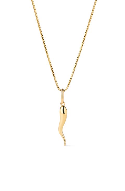 Solid Yellow Gold - Italian Horn Charm Necklace