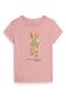 selected Adirondack Rose