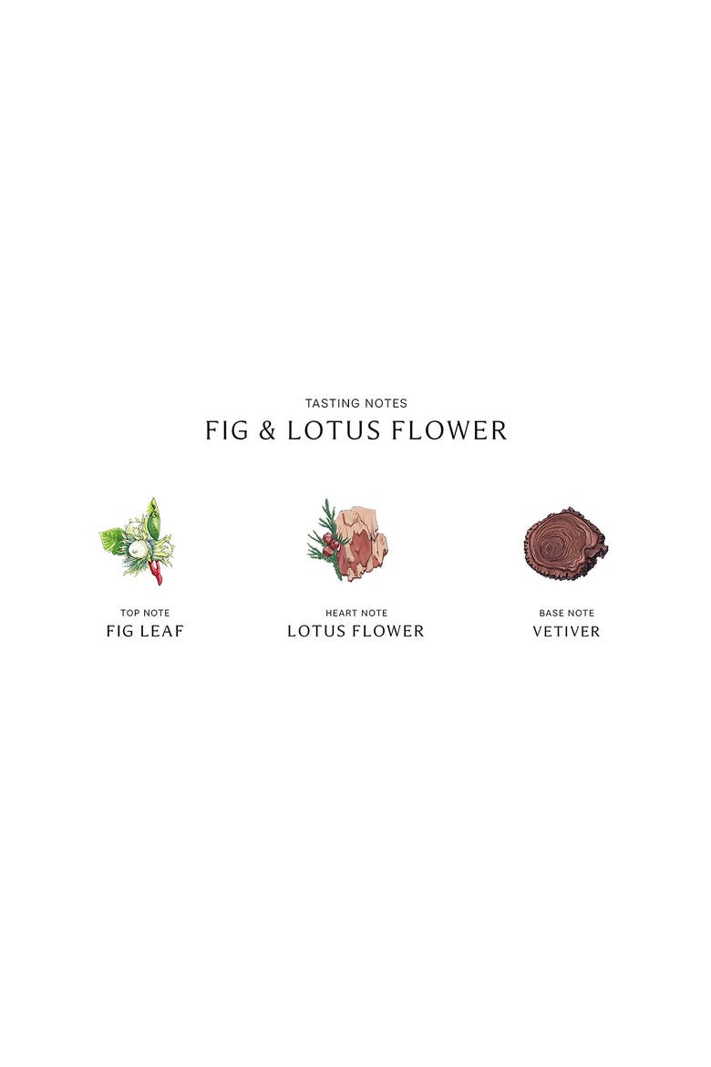 Fig & Lotus Flower Cologne, Alternate, color, NO COLOR