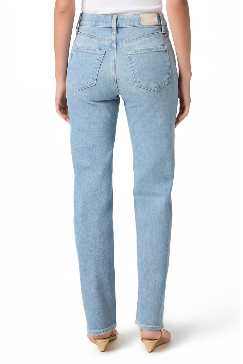 Stevie Straight Leg Jeans, Alternate, color, AUDUBON