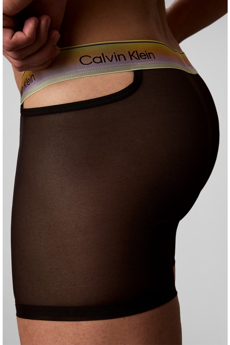 Pride Sheer Mesh Boxer Briefs, Alternate, color, BLACK