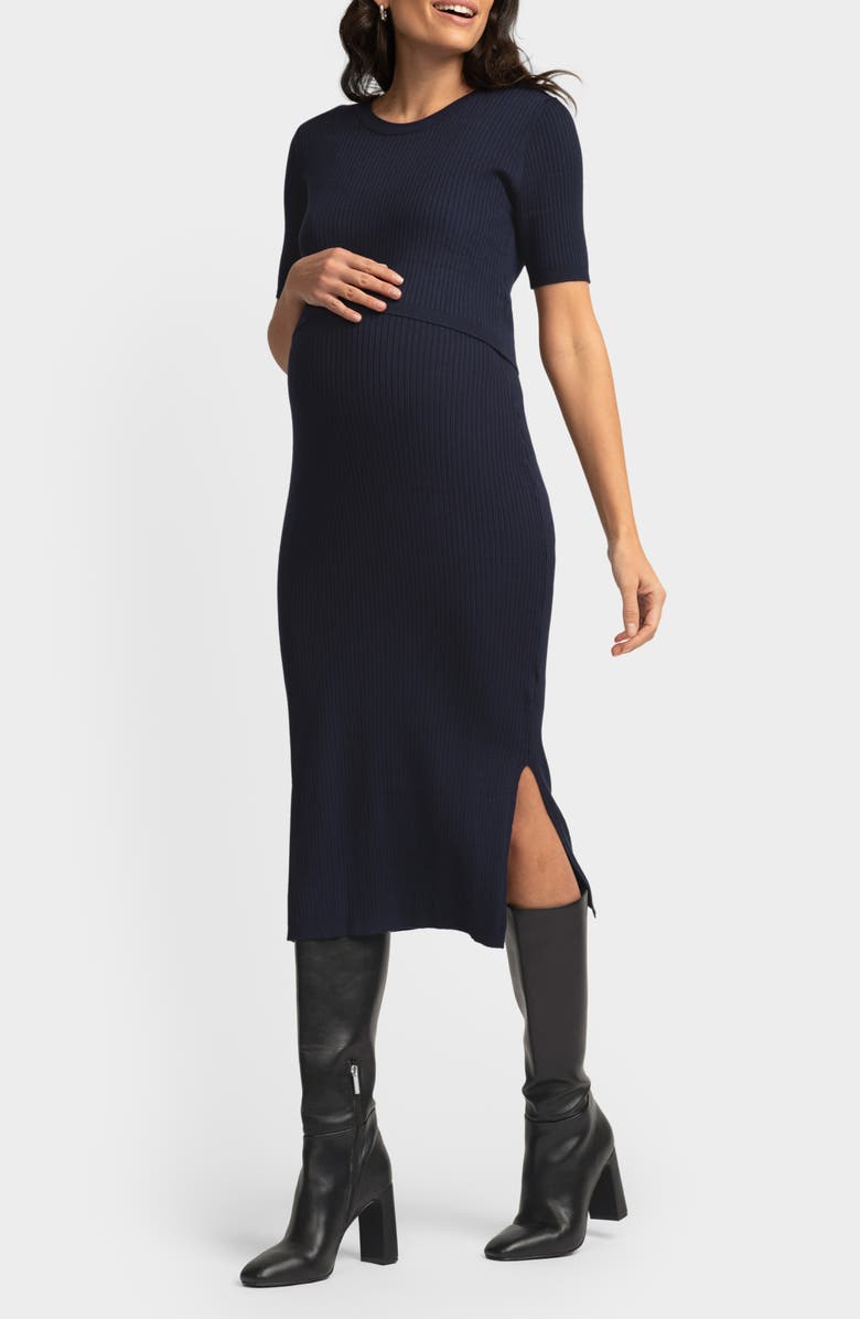 Seraphine Layered Maternity/Nursing Dress, Alternate, color, 