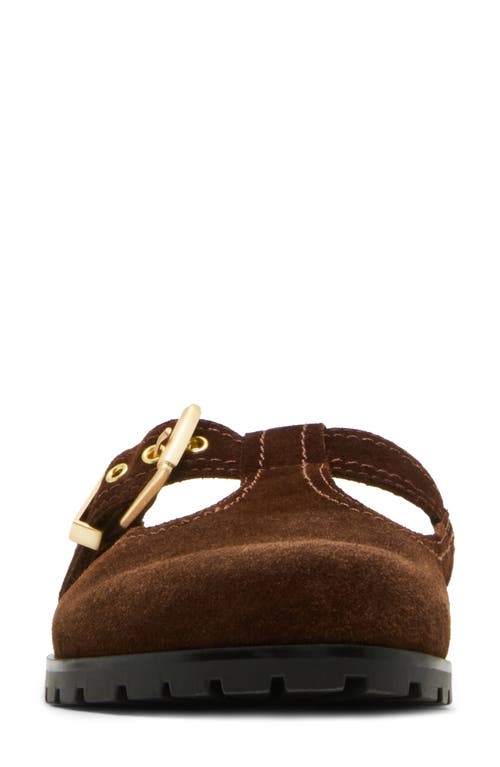 STEVE MADDEN STEVE MADDEN ATTICUS CLOG