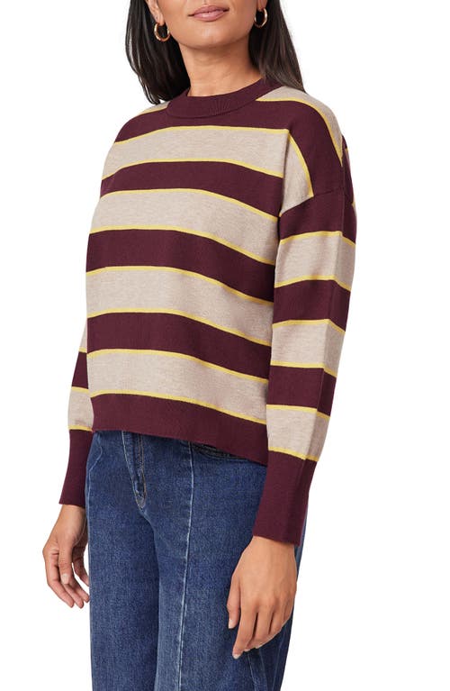 Scotch & Soda Stripe Crop Sweater In Brown