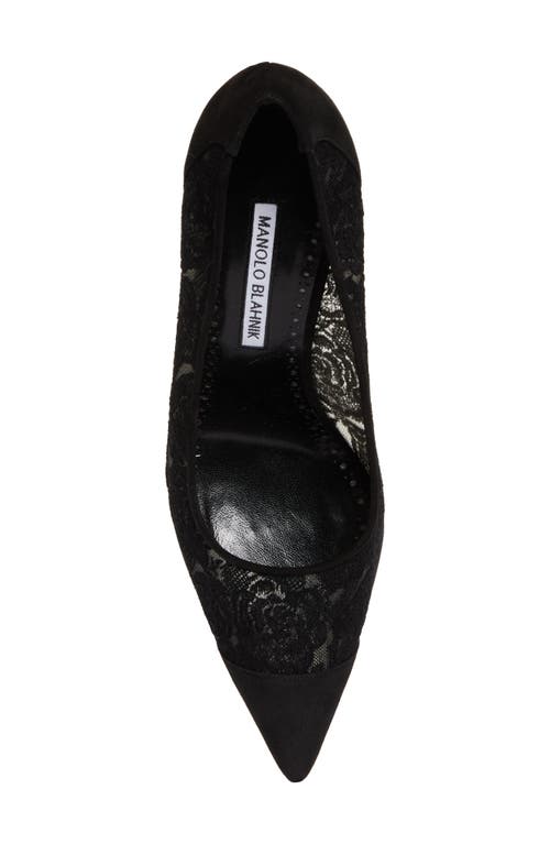 Manolo Blahnik Sololaria Pointed Toe Pump In Black