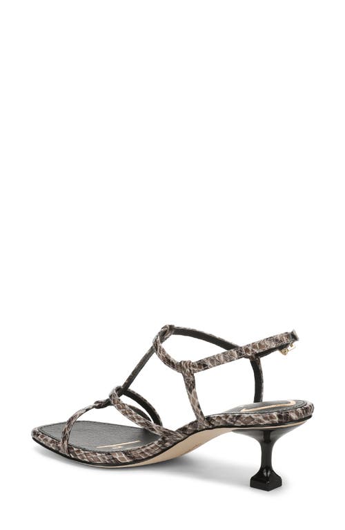 Circus Ny By Sam Edelman Jaida Snakeskin Embossed Strappy Sandal In Multi