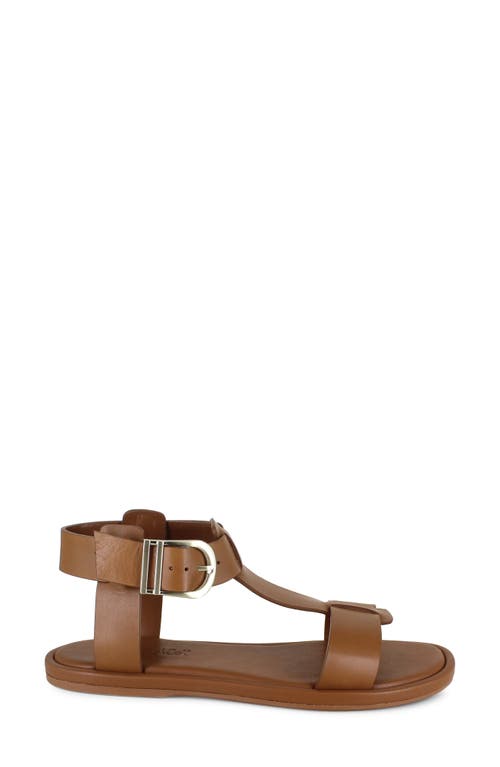 Splendid Fausta Ankle Strap Sandal In Cognac