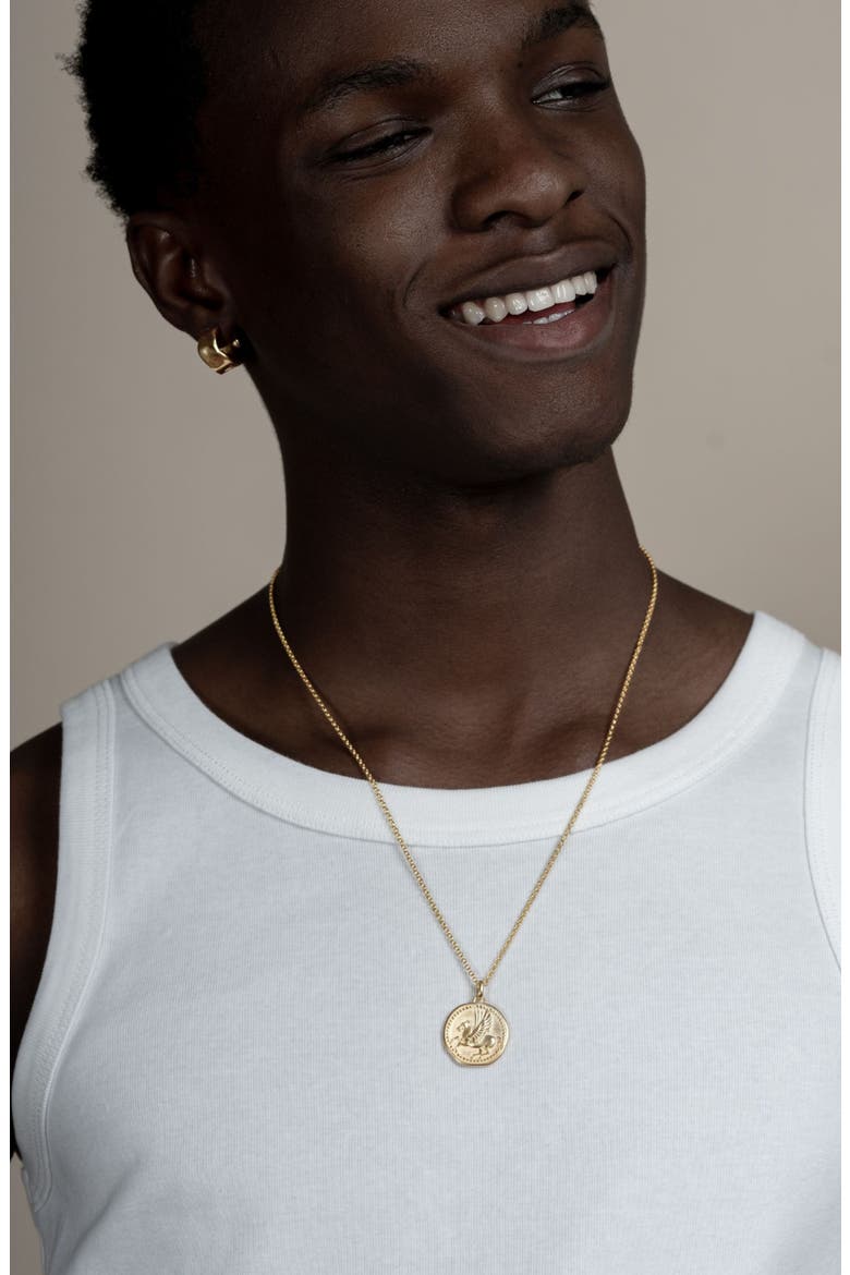 Men's 'Overcome and Thrive' Pegasus Talisman Necklace, Alternate, color, Yellow Gold Vermeil