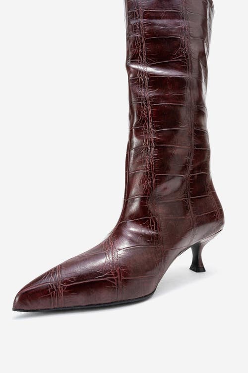 Prologue Shoes Crow Embossed Pointed Toe Boot In Brown
