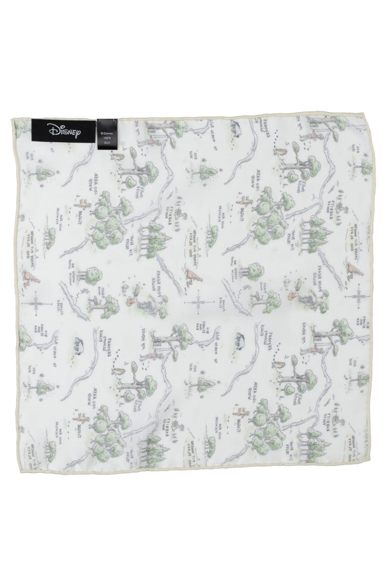Winnie the Pooh Map Silk Pocket Square, Alternate, color, WHITE