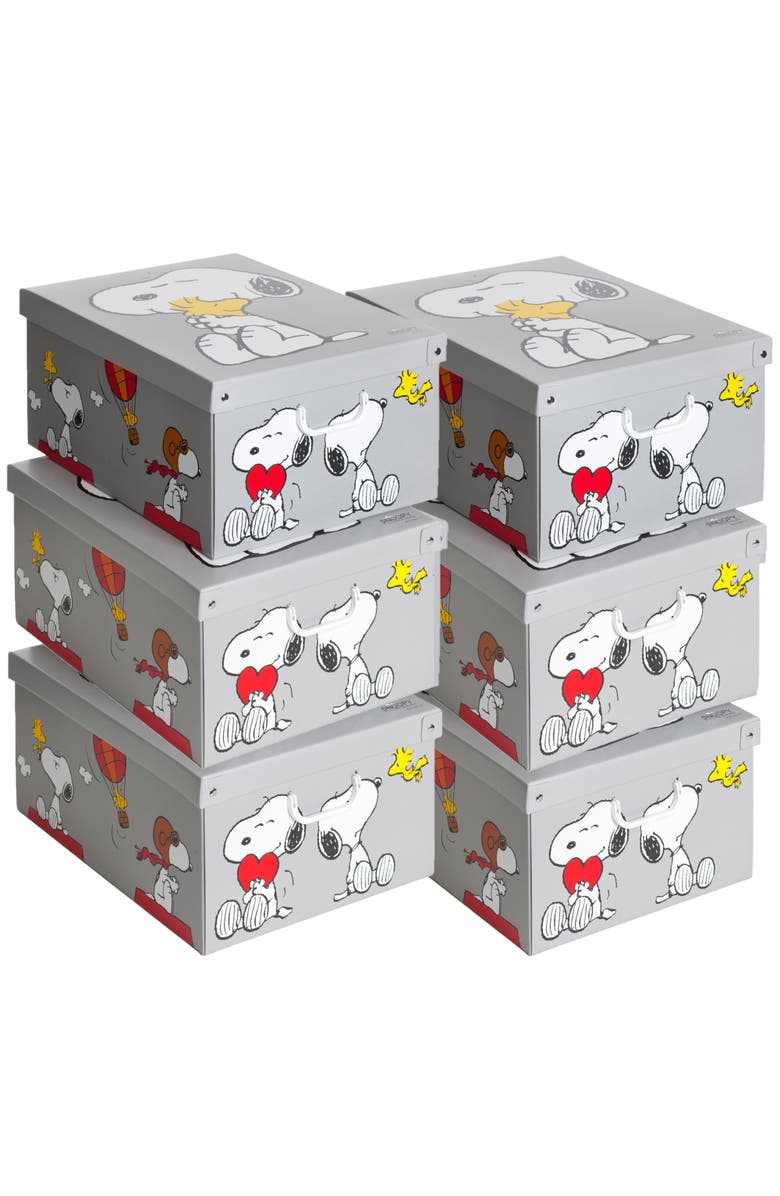 Lavatelli 6 Pack Large Sized Storage Box, Main, color, Multicolored