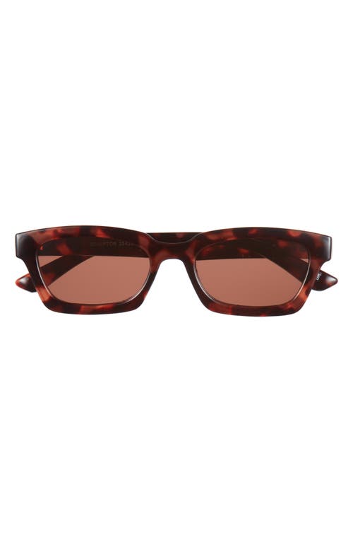 Aire Sculptor 50mm Rectangular Sunglasses In Rosewood Tort/cinamon Tint