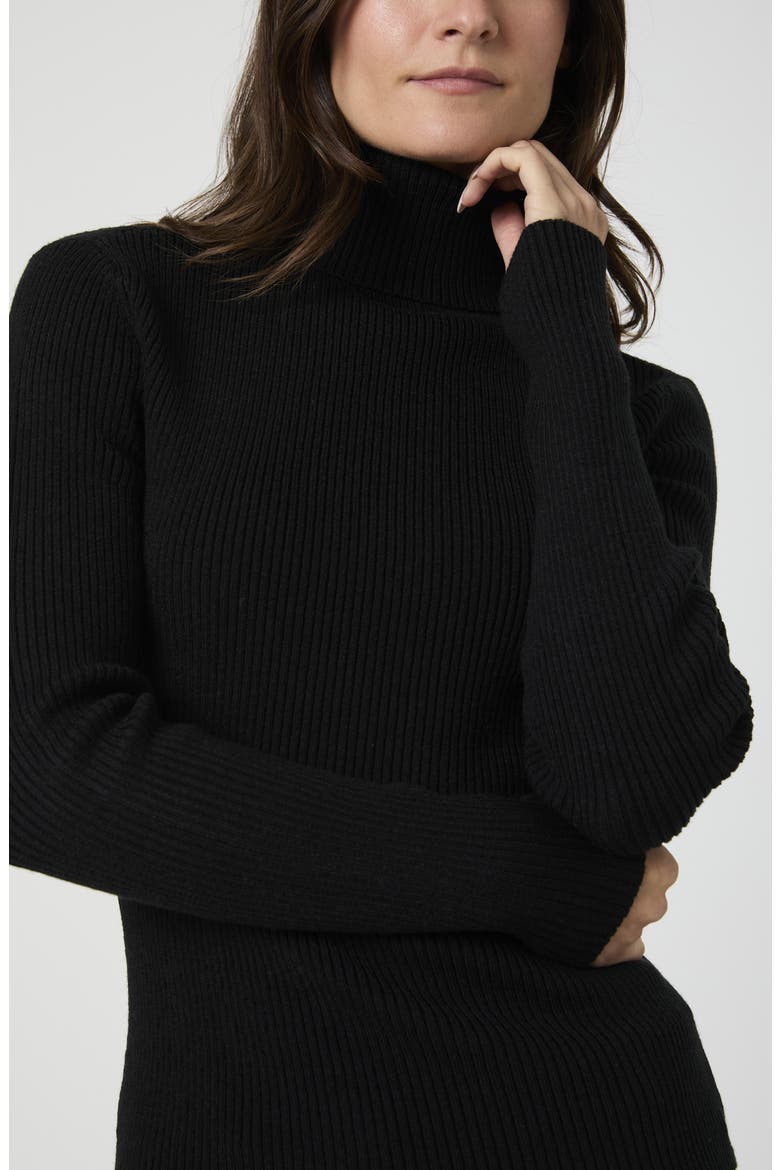 Turtleneck Sweater, Alternate, color, BLACK