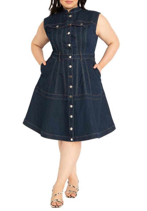 Fit & Flare Denim Dress (Plus Available)