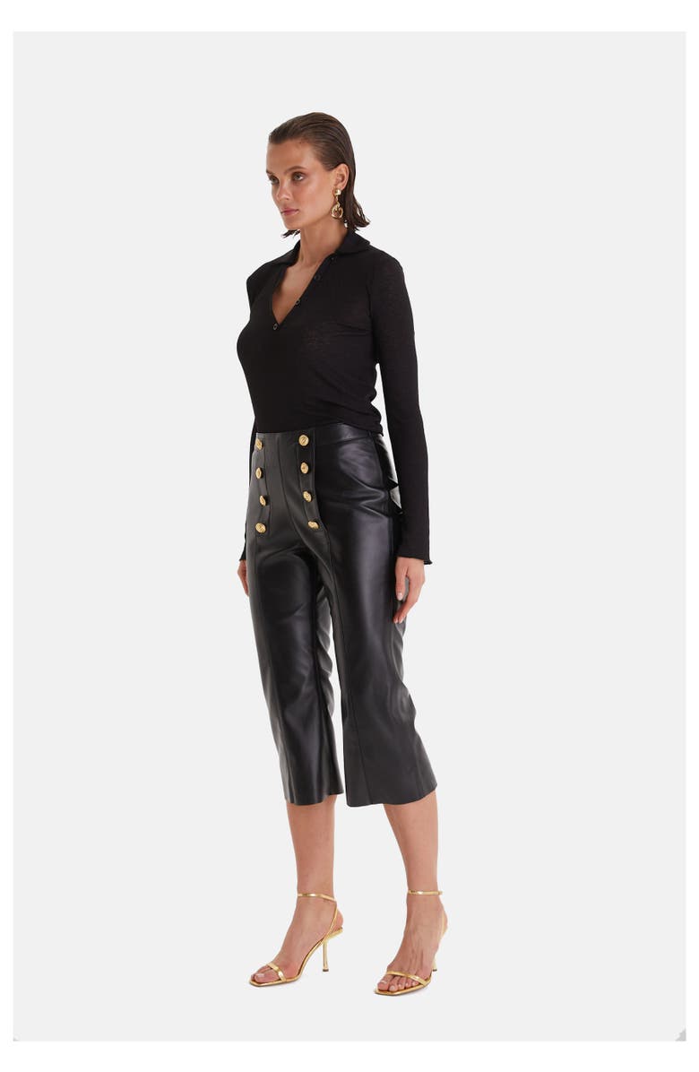 Furniq UK Leather Pants, Alternate, color, Black