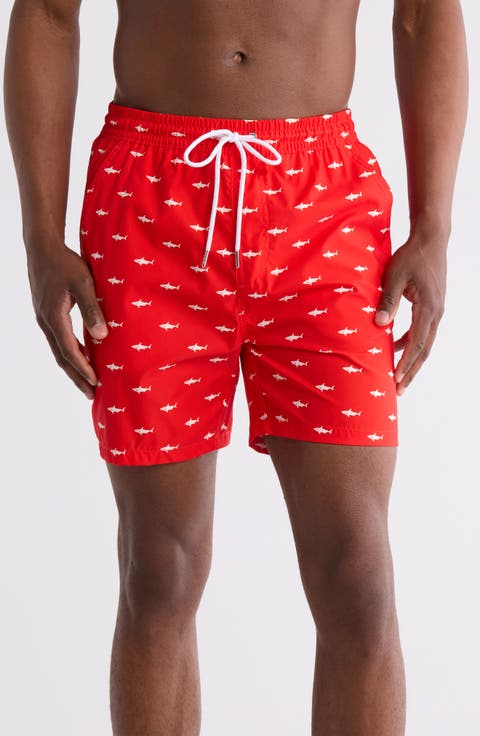 Shark Swim Shorts