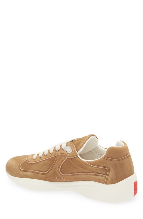 Prada Round Toe Low Top Sneakers In Cannela