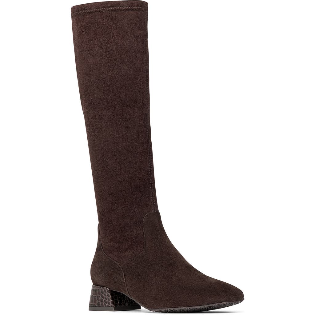 Donald Pliner Avera Knee High Boot In Dark Brown