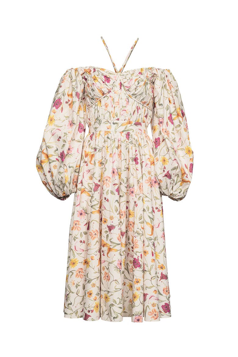 Rosa Dress in Flora, Main, color, Floral