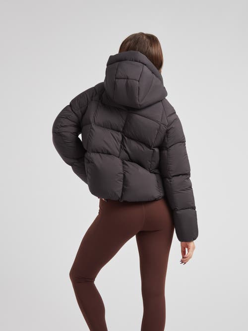 Jack1t Cloud Cropped Hooded Puffer Jacket In Black