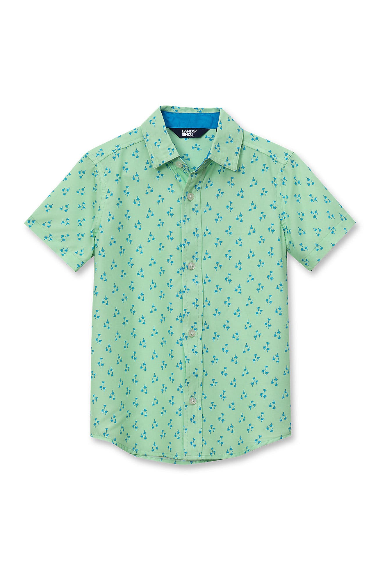 Palm Trees/Paradise Green