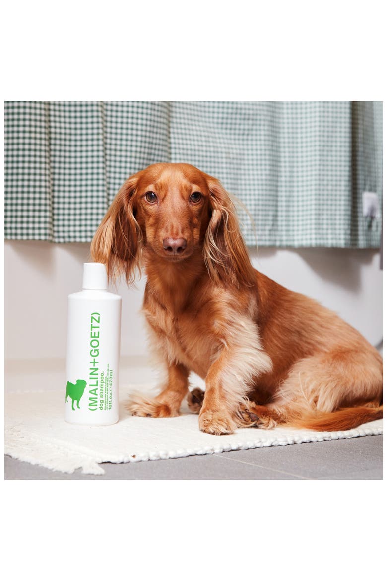 Dog Shampoo, Alternate, color, NO COLOR