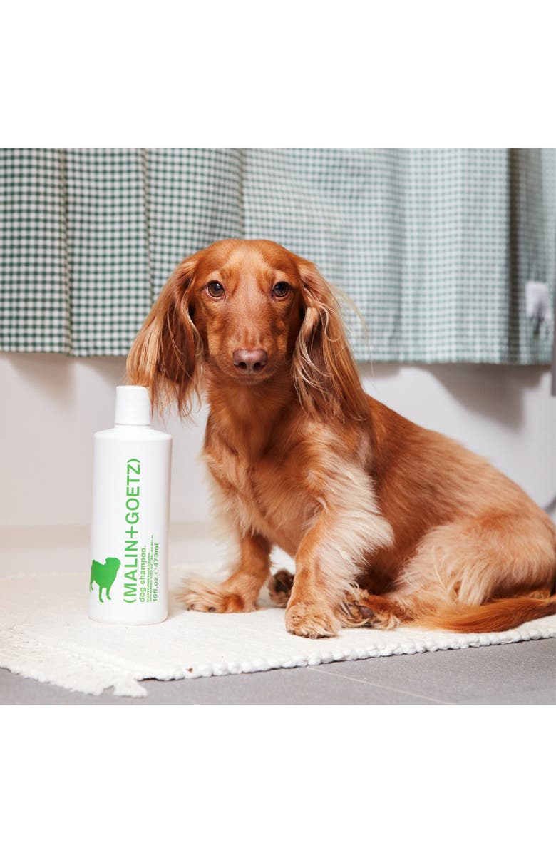 MALIN+GOETZ Dog Shampoo, Alternate, color, 