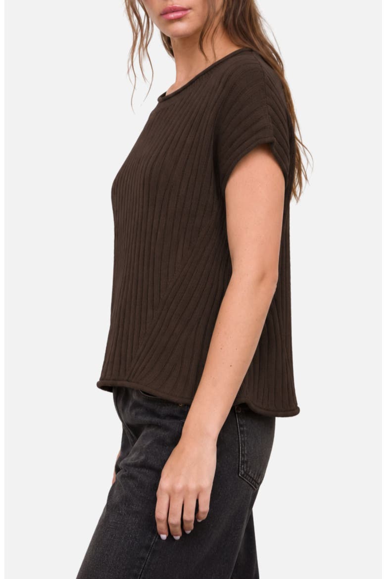 Short Sleeve Ribbed Sweater, Alternate, color, BROWN