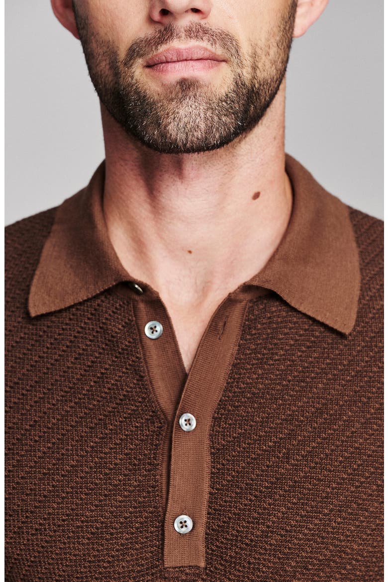 Long Sleeve Sweater Polo, Alternate, color, BROWN MULTI