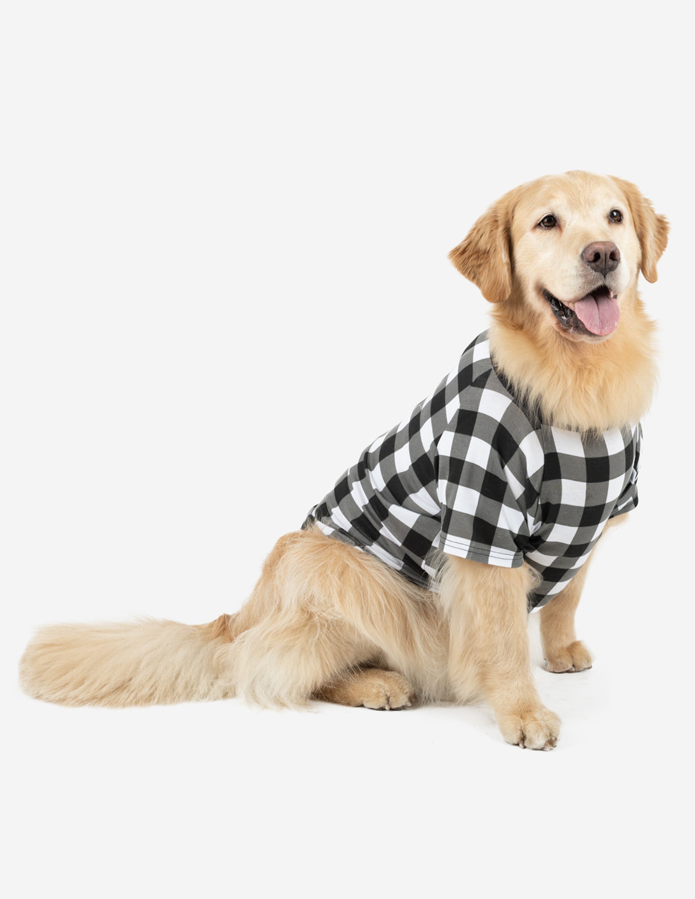 Plaid Black & White