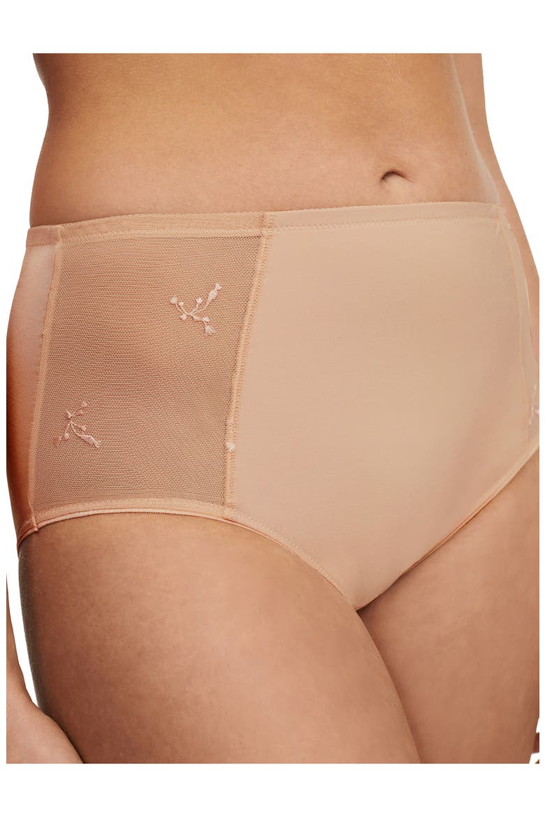 Every Curve High Waist Briefs, Alternate, color, BEIGE BLUSH-1N