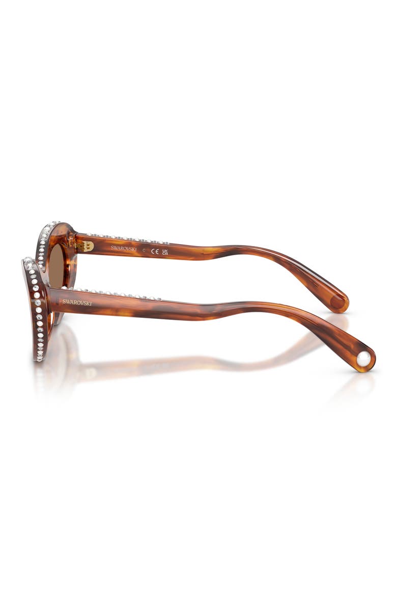 51mm Cat Eye Sunglasses, Alternate, color, STRIPED HAVANA / DARK BROWN