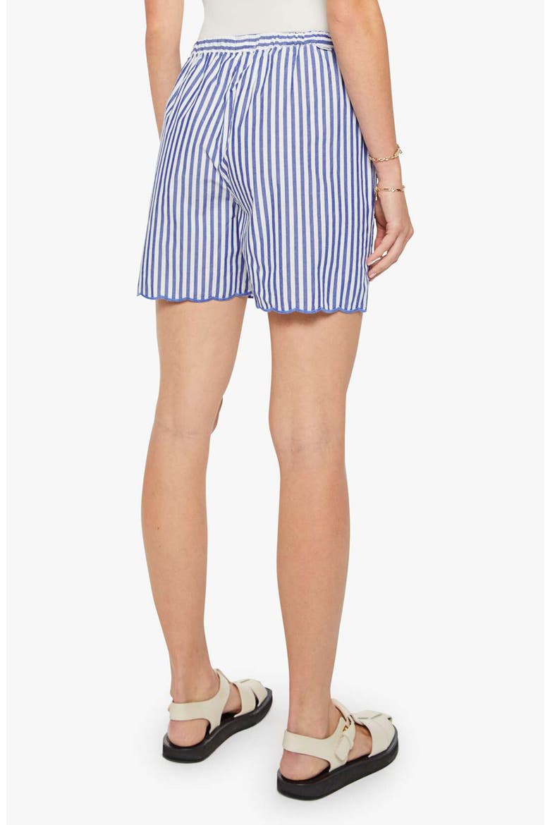 The Drawn Freeballer Stripe Cotton Shorts, Alternate, color, WHITE AND BLUE STRIPE