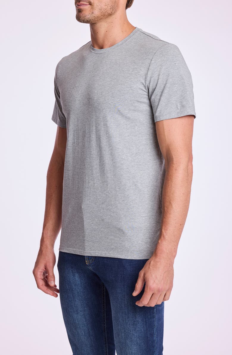 PAISLEY & GRAY Lucas Crewneck T-Shirt, Alternate, color, Light Grey