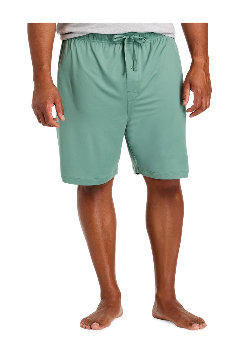 Big & Tall Solid Sleep Shorts, Main, color, WINTERGREEN