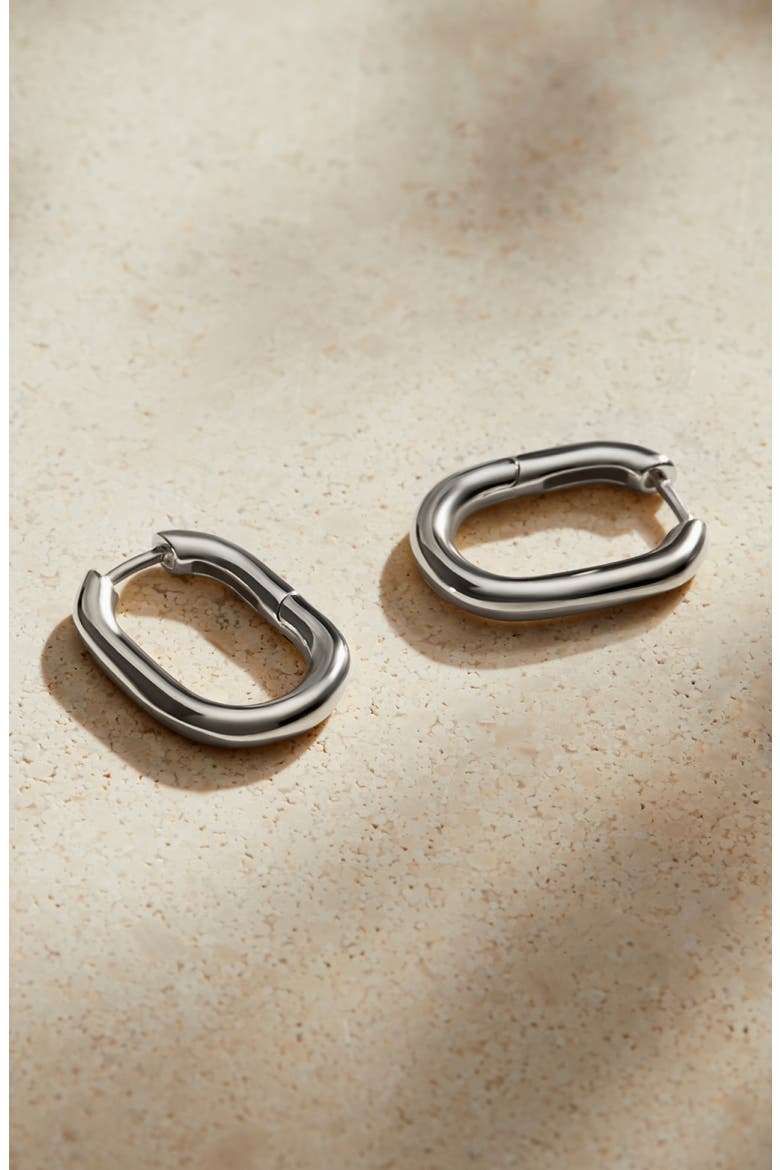 Gold Hoop Earrings - Rox Small, Alternate, color, Silver