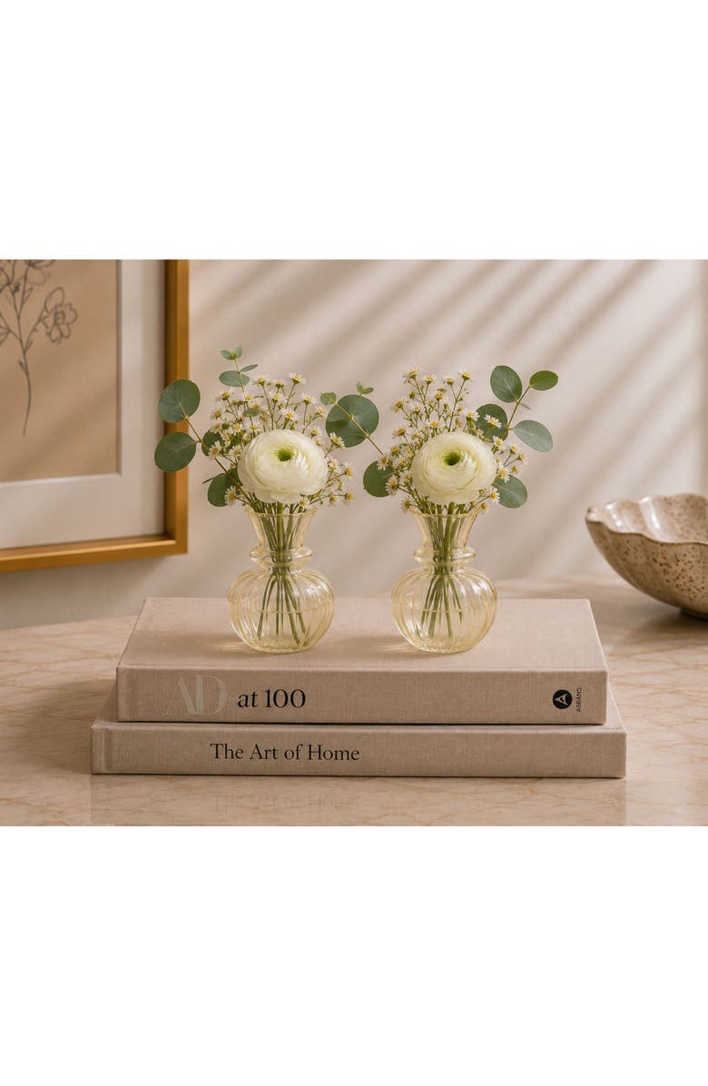 Zodax Treviso Piccola Set of 2 Vases, Alternate, color, Very Light Yellow