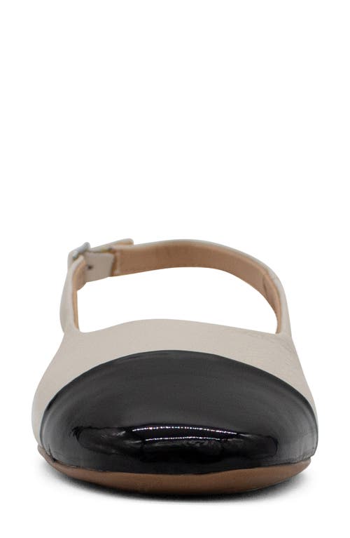 Bottero Botsamya Xxiv Slingback Flat