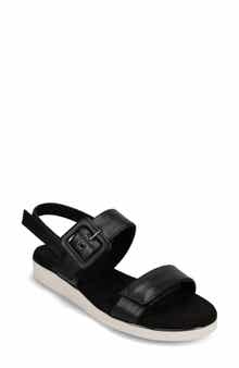 Elysha Sandal