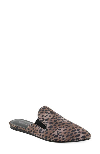 style board product image
