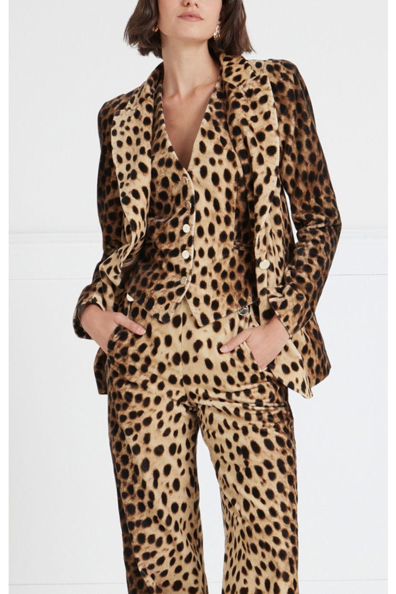 Nemera Velvet Jacket, Alternate, color, Leopard Print