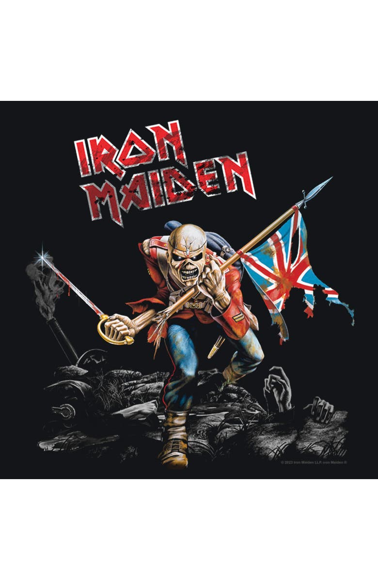 Iron Maiden Men's Iron Maiden Distressed the Trooper Graphic T-Shirt, Alternate, color, Black