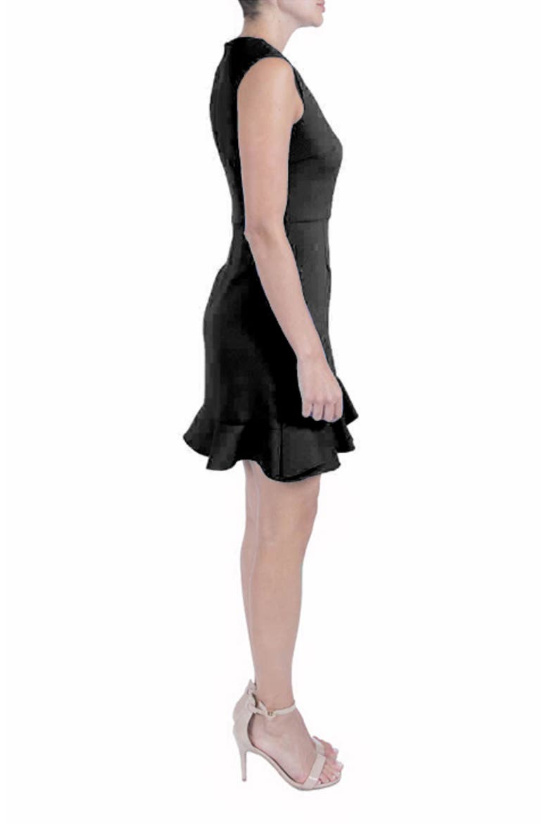 Double Flounce Sleeveless Dress, Alternate, color, BLACK