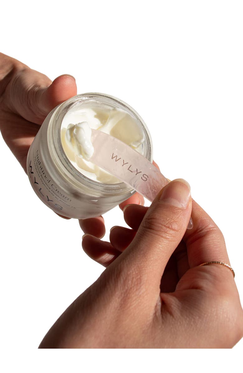 WYLYS The Nightly Nourish Set w/ Rose Quartz Spatula, Alternate, color, NO COLOR