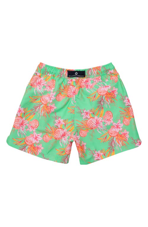 Snapper Rock Boys' Coastal Shells Sustainable Swim Short - Little Kid, Big Kid In Green