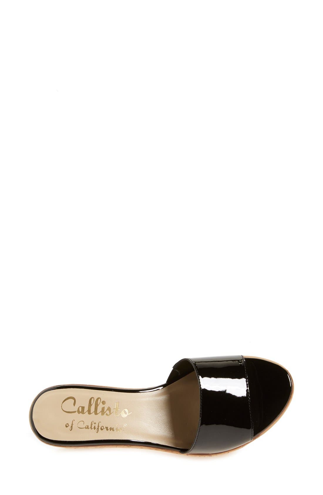 Callisto 'In the Bag' Wedge Platform Sandal, Alternate, color, 