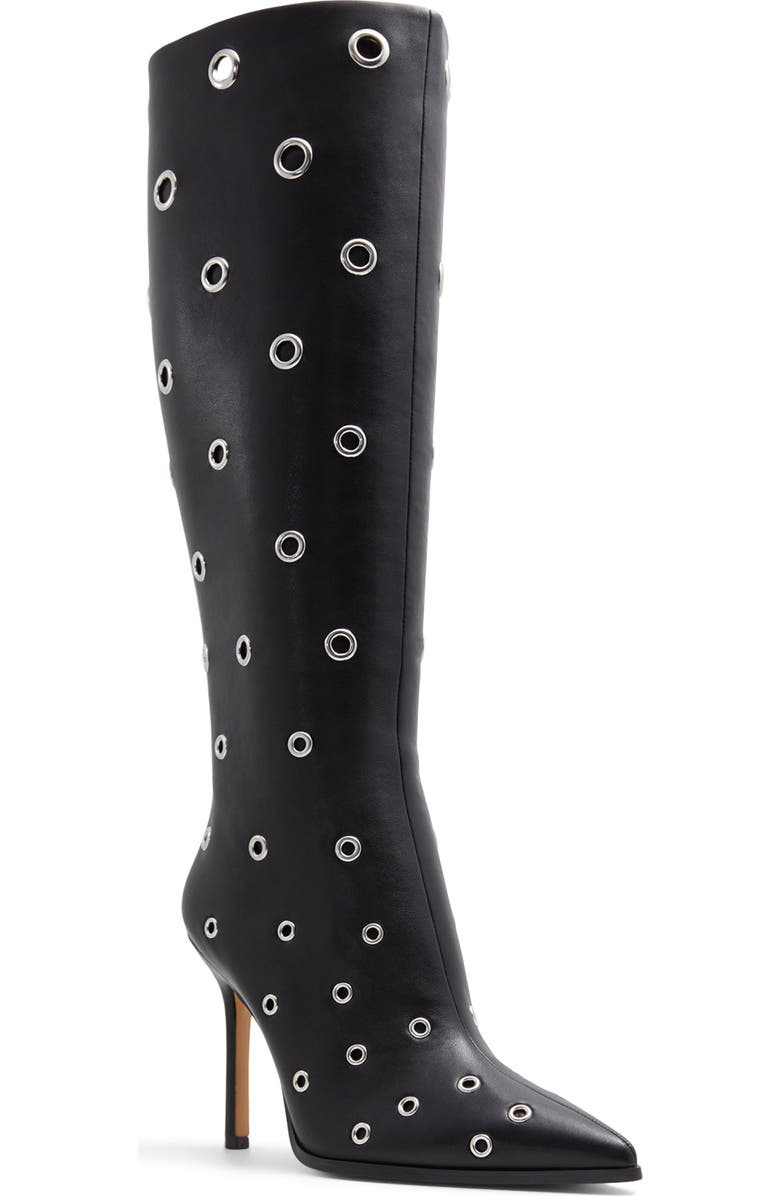 ALDO Maybellie Pointed Toe Knee High Boot, Main, color,